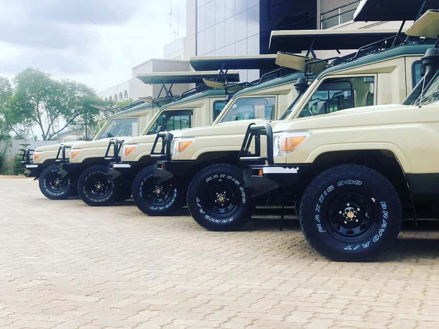 Nairobi: Overnight Safari Trip to Amboseli National Park - Wildlife spotting with a guide who hunts for sightings, not just driving