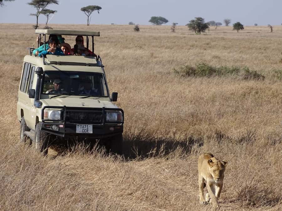 Nairobi: Overnight Safari Trip to Amboseli National Park - Who should book this Nairobi to Amboseli overnight safari