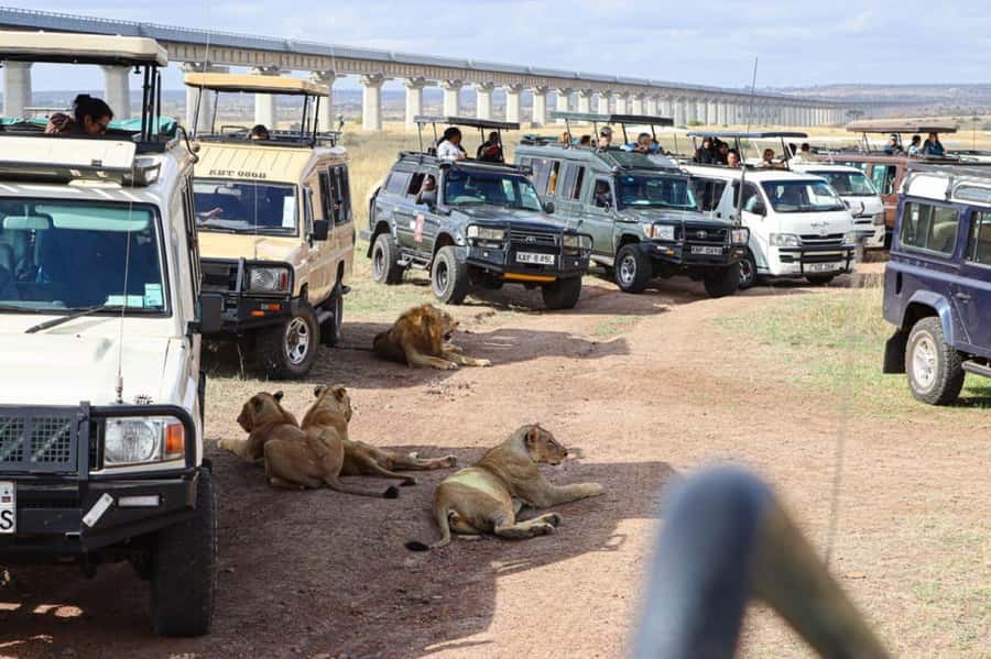 Nairobi Park, Giraffe & Elephant Orphanage with Museum Visit - Should You Book This Nairobi Park, Giraffe, Elephant, and Museum Day?