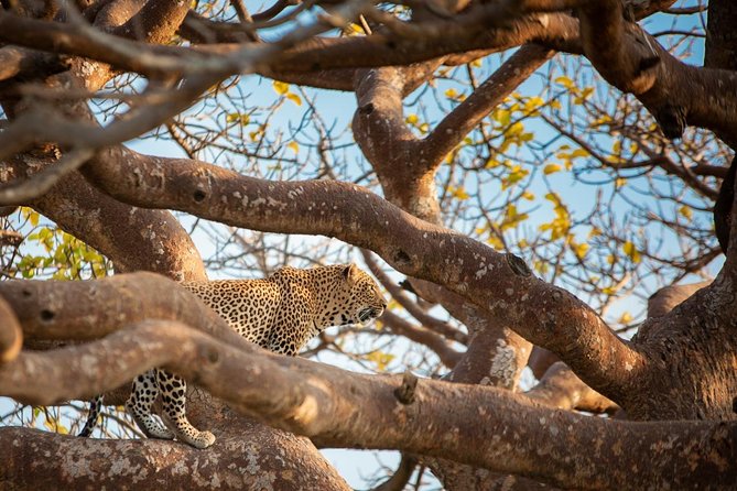 Nairobi park, steamark birds, Girraffe center & bomas - Getting picked up, riding the minivan, and managing comfort