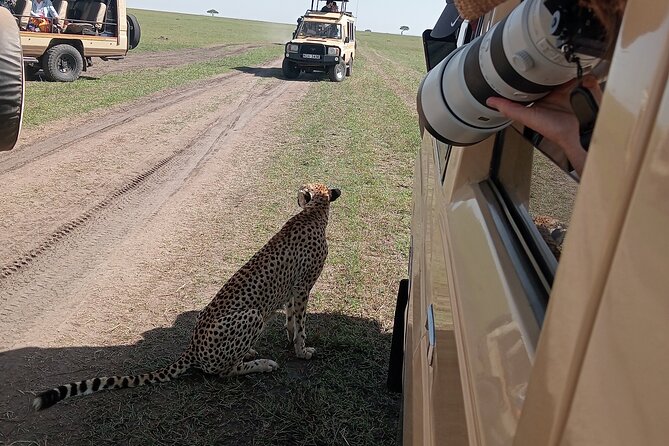 Nairobi Park Wildlife Safari - Why Nairobi National Park fits your schedule