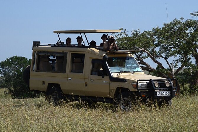 Nairobi Park Wildlife Safari - Nairobi National Park safari drive: what to look for