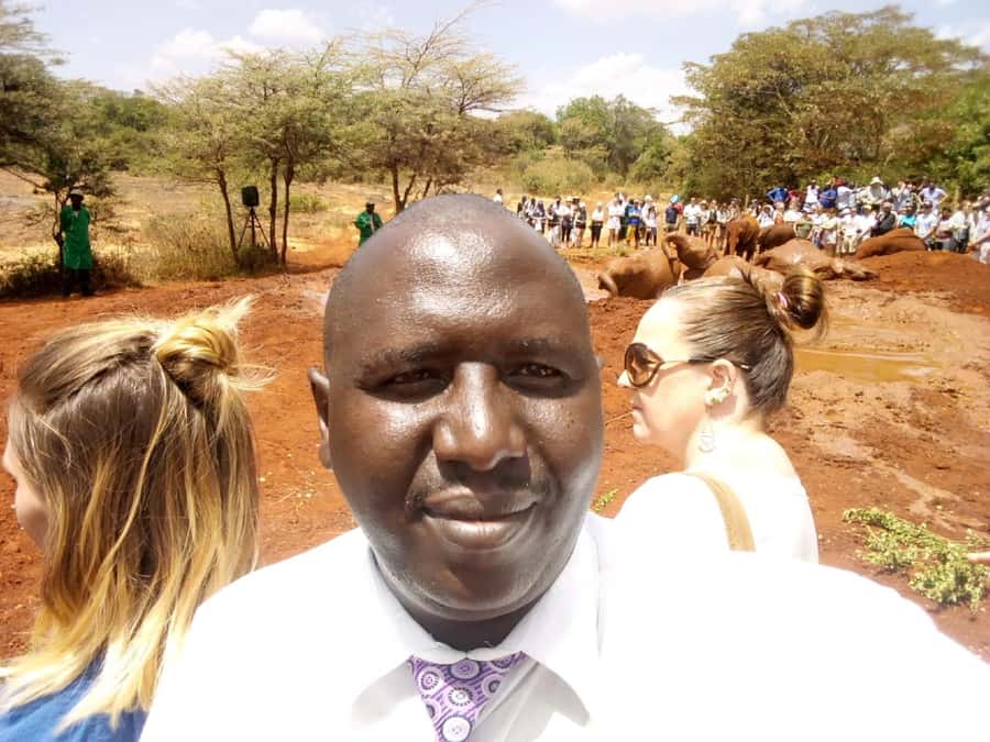 Nairobi: Private Elephant Orphanage Tour - Who this tour suits best, and who should think twice