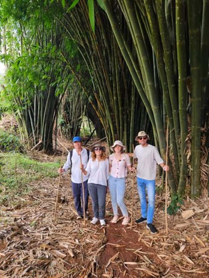 Nairobi: Purple Tea Farm Gatura Greens Day Trip - The Tea Tasting Ceremony, With Real Flavors to Compare