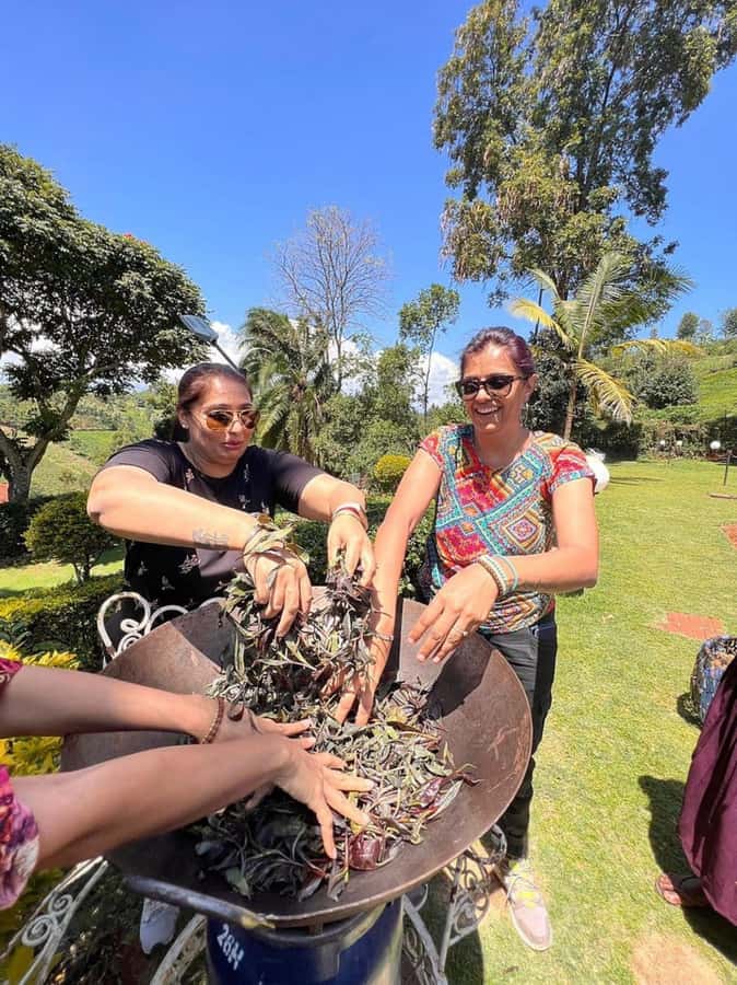 Nairobi: Purple Tea Farm Gatura Greens Day Trip - The Bamboo Forest Trek, Then a Waterfall Swim