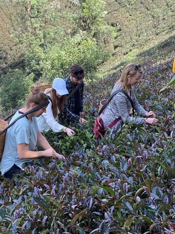 Nairobi: Purple Tea Farm Gatura Greens Day Trip - Lunch at the Farm, and Why It Feels Like More Than Fuel