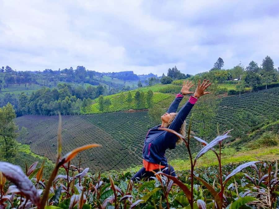 Nairobi: Purple Tea Farm Gatura Greens Day Trip - Price and Logistics, Including the Extra Farm Entry Fee