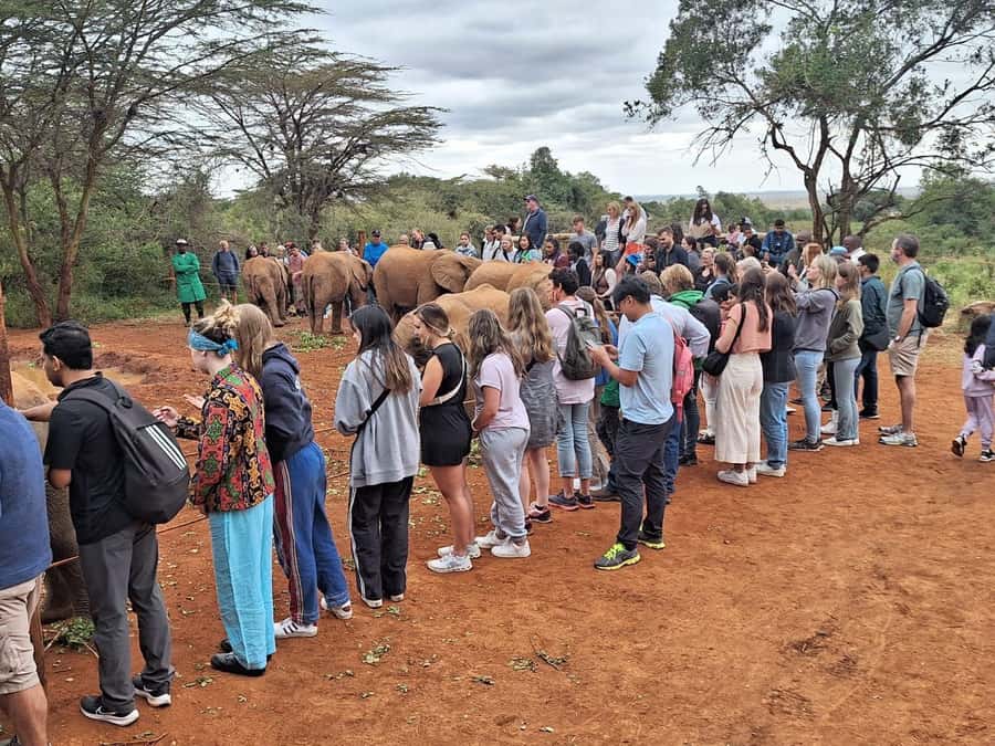 Nairobi’s Best:Elephants,Giraffes Center & Karen Blixen Tour - Key Highlights Worth Marking on Your Calendar