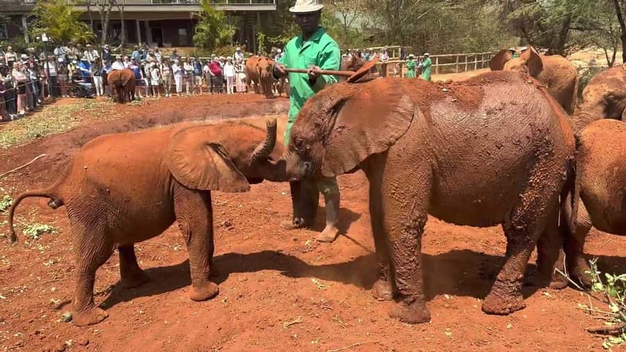 Nairobi: Sheldrick Elephant Orphanage and Giraffe Center - Kazuri beads: a cultural stop that actually fits the day