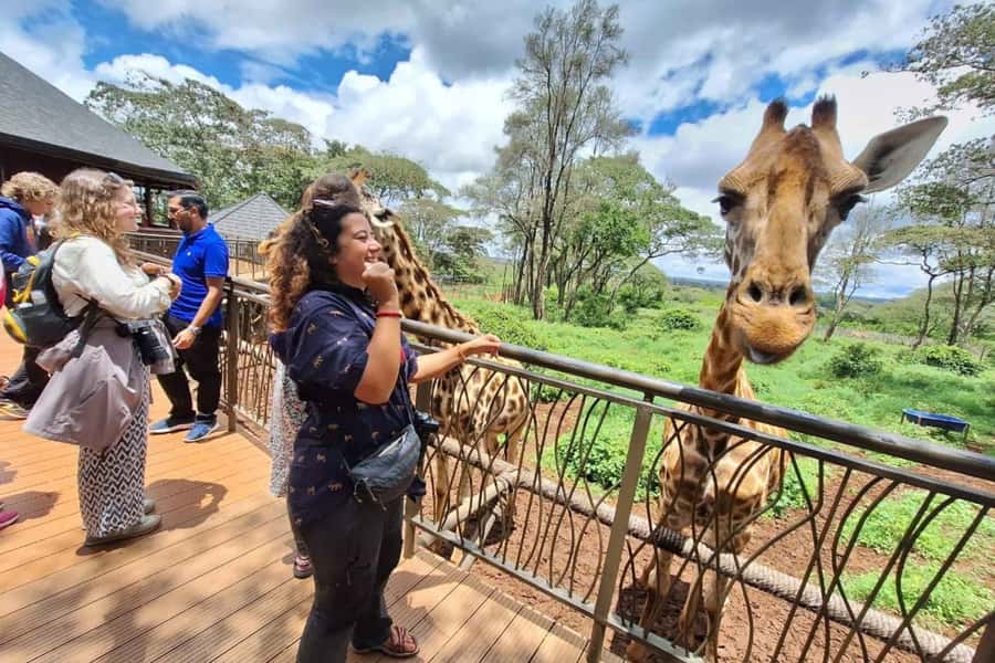 Nairobi: Sheldrick Elephant Orphanage and Giraffe Center - Price and what you must budget beyond the ticket