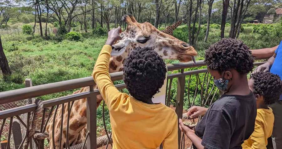 Nairobi: Sheldrick Elephant Orphanage and Giraffe Center - David Sheldrick Elephant Orphanage: baby elephants, keepers, and real care