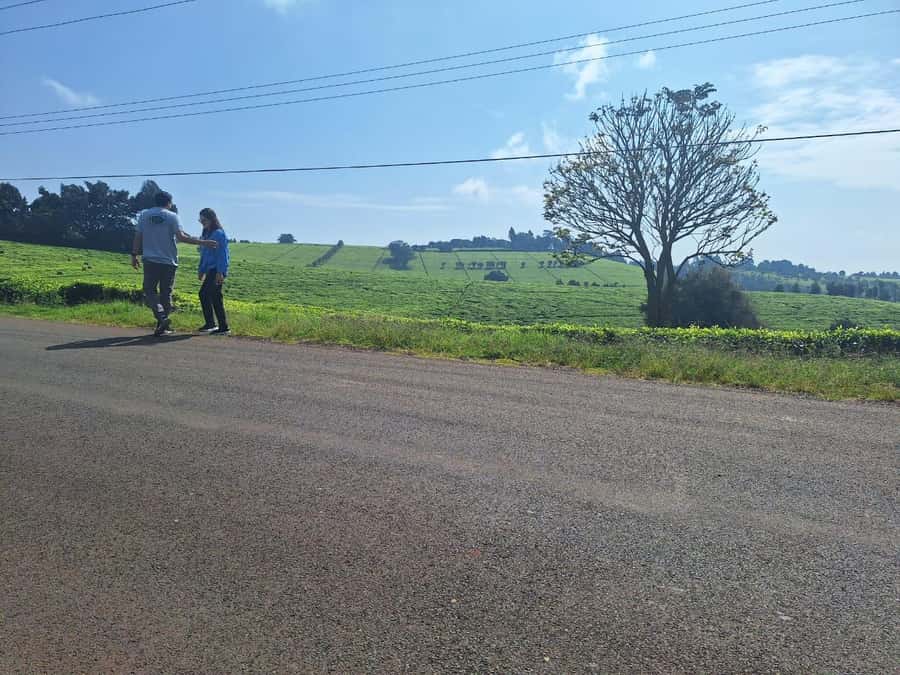 Nairobi: Tea Farm Day Trip with Lunch at kiambethu - The bonfire finish, and why the ending matters
