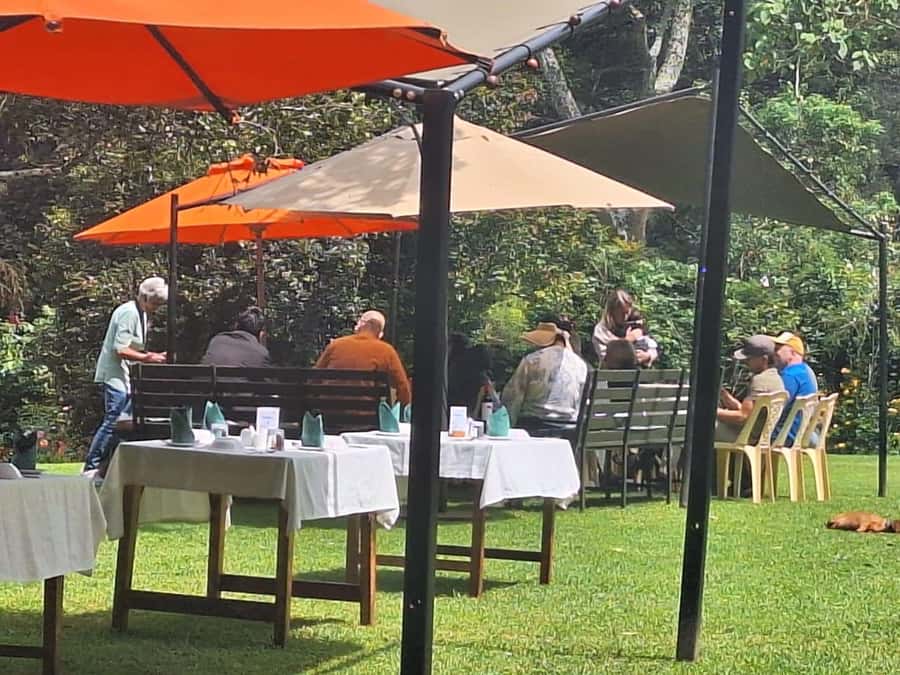 Nairobi: Tea Farm Day Trip with Lunch at kiambethu - Pickup timing and transport coordination from Nairobi