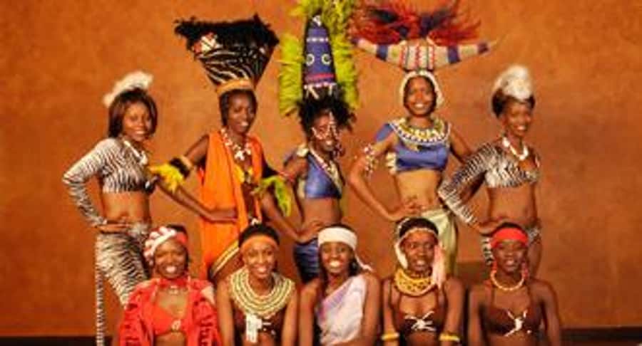 Nairobi: The Safari Cats Show Tickets & Buffet Dinner - Key moments you will actually care about