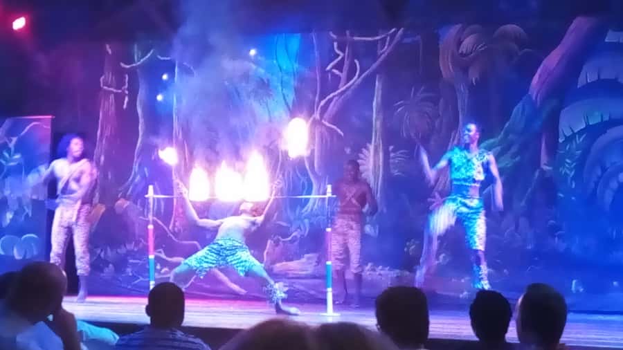 Nairobi: The Safari Cats Show Tickets & Buffet Dinner - The Nyama Choma buffet: meat is the main character