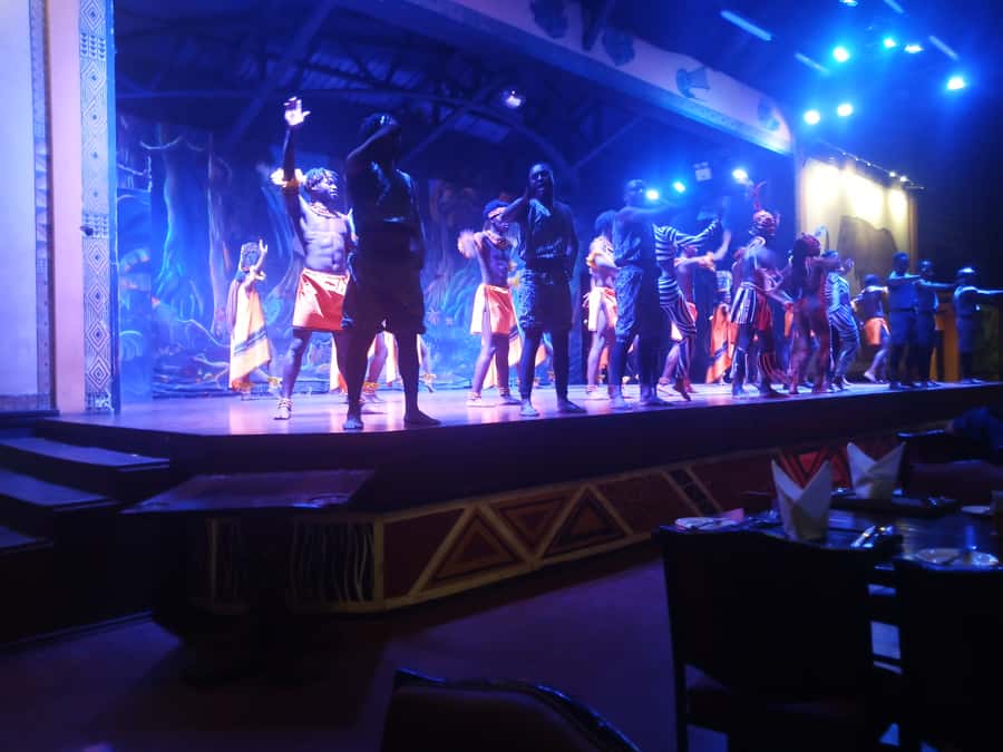 Nairobi: The Safari Cats Show Tickets & Buffet Dinner - The Safari Cats show: short, energetic, and very timing-based