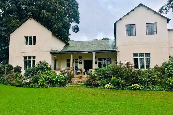 Nairobi to Kiambethu Tea Farm Tour - What you really learn about tea (and what you can ask)