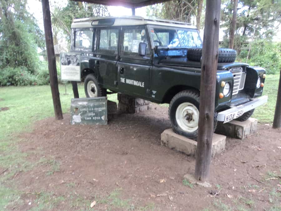 Nairobi to Lake Naivasha Day Tour with Crescent Island - High tea and the quiet finish before Nairobi