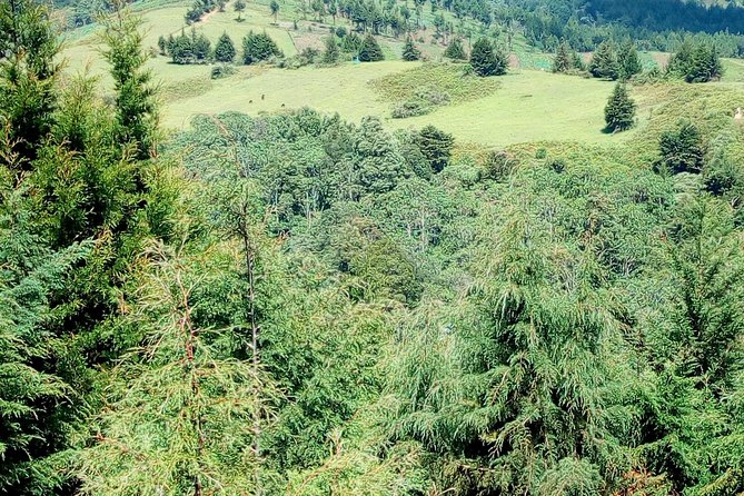 Nairobi Zip Lining Adventure Experience - Price and value: what $100 covers, and what costs extra on site