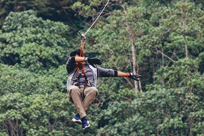 Nairobi Zip Lining Adventure Experience - Group discounts, private pacing, and who this suits best