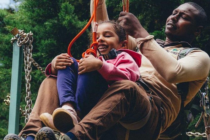 Nairobi Zip Lining Adventure Experience - Forest Adventure Centre: what your 2-hour zipline run is built around