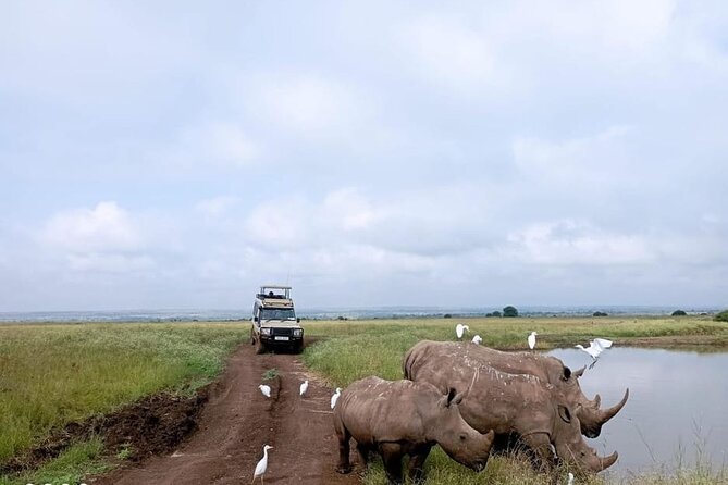 National Park Half-Day Group Tour in Nairobi with Pickup - Key highlights before you go