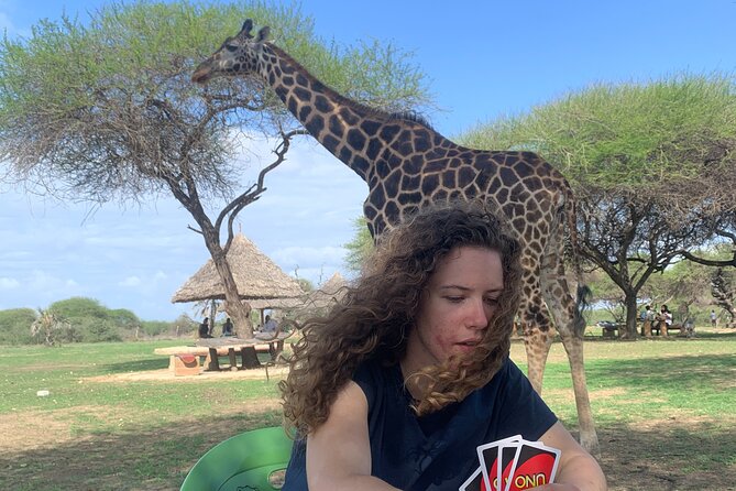 Nature Walk with Giraffes in Mombasa - Key things to know before you go