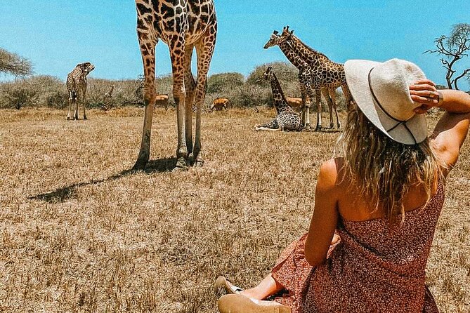 Nature Walk with Giraffes in Mombasa - Nguuni Nature Sanctuary in Mombasa: the real appeal is the closeness