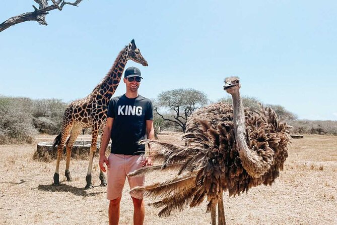 Nature Walk with Giraffes in Mombasa - The animals up close: giraffes, ostriches, antelopes, turtles