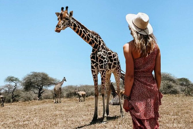 Nature Walk with Giraffes in Mombasa - Walking rules that actually help you enjoy it more
