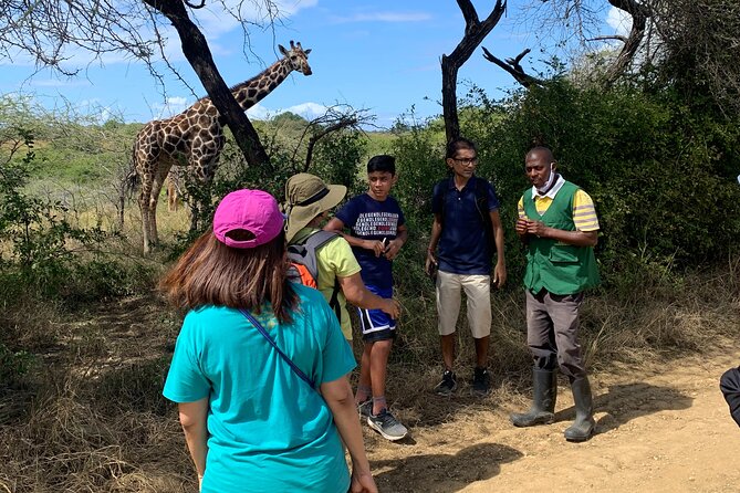 Nature Walk with Giraffes in Mombasa - Who should book this giraffe walk (and who might skip it)