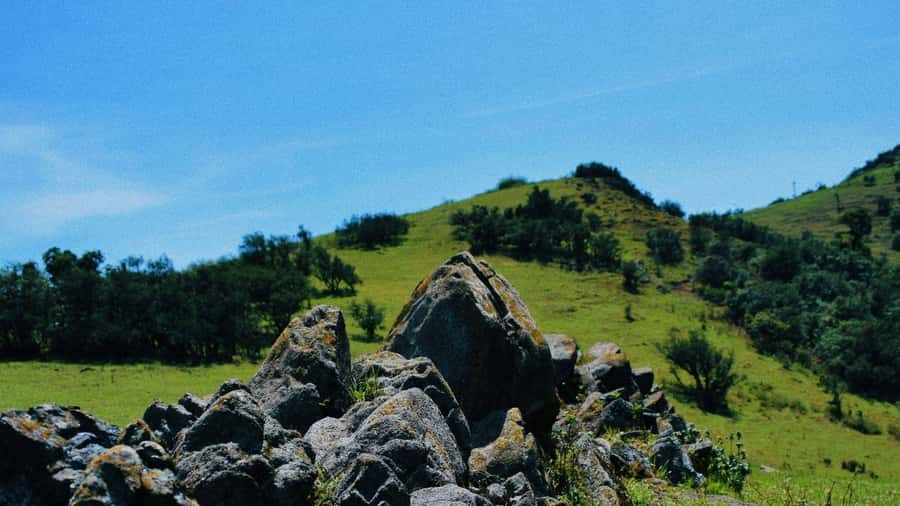 Ngong Hills: Private Hiking Tour - Ngong Hills is a fast escape from Nairobi, without the long-distance hassle