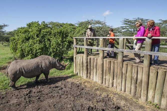 Ol Pejeta Conservancy Day Tour from Nairobi - Sweetwaters Serena Camp Around Midday: Lunch at $25 and Watering Hole Watching