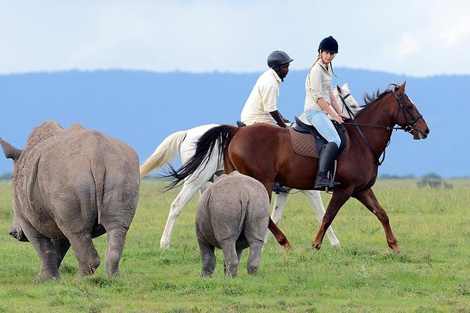 Ol Pejeta Conservancy Day Tour from Nairobi - Afternoon Eastern Side Drive: Baraka the Blind Rhino and the Northern Whites