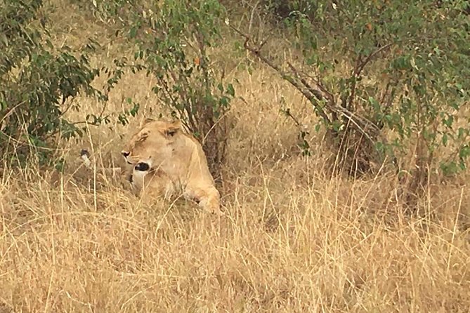Olpejeta conservancy Day tour - Lunch Break and Keeping Your Energy for the Whole Day