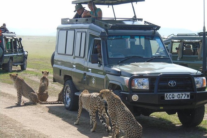 Olpejeta, Lake Naivasha, Masai Mara 5 Days Private Kenya Jeep tour - Lake Naivasha: Thomson’s Falls, boat safari, then Crescent Island on foot