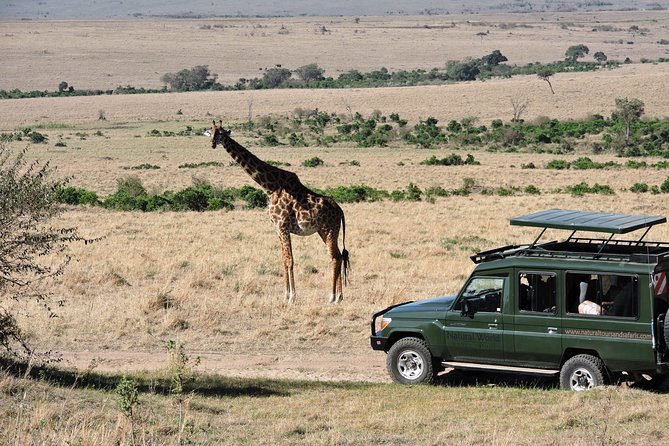 Olpejeta, Lake Naivasha, Masai Mara 5 Days Private Kenya Jeep tour - Should you book? My honest take