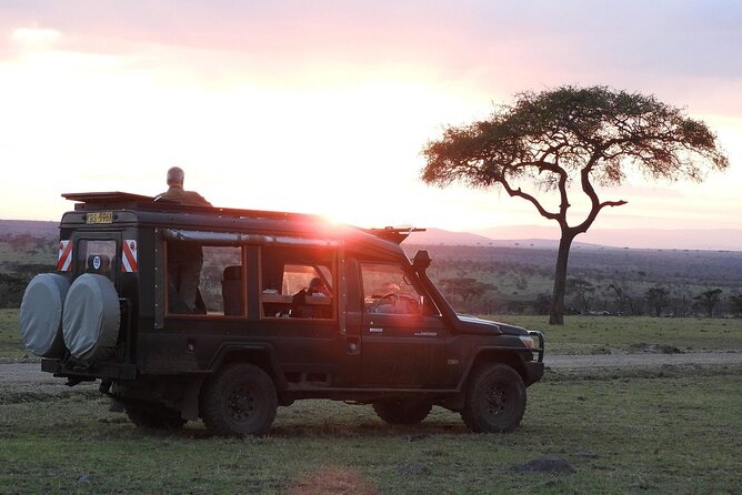 One Day Tour to Maasai Mara Game reserve from Nairobi - Price and Value: What $270 Gets You