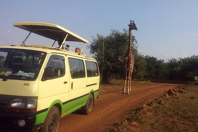 One Night (Mid-range) Amboseli National Park Safari - Nairobi pickup, Emali stop, and the ride south to Amboseli