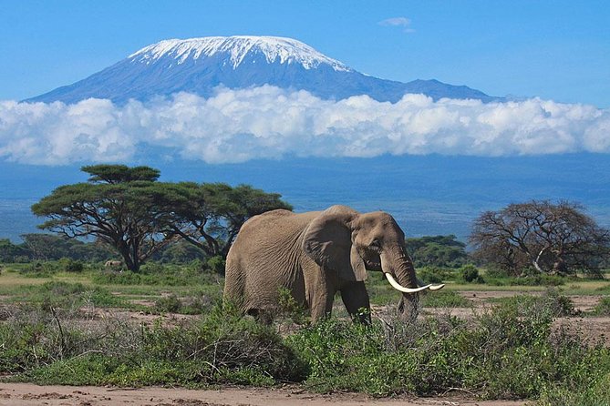 Overnight Amboseli National Park Safari from Nairobi - The drive to Amboseli, and why timing matters more than distance
