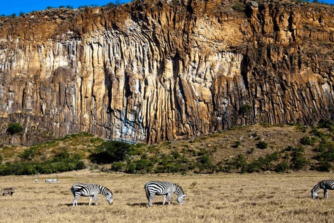 Overnight Exciting Tour To Mt. Longonot and Hell's Gate Park - Should You Book This Overnight Mount Longonot and Hell’s Gate Tour?