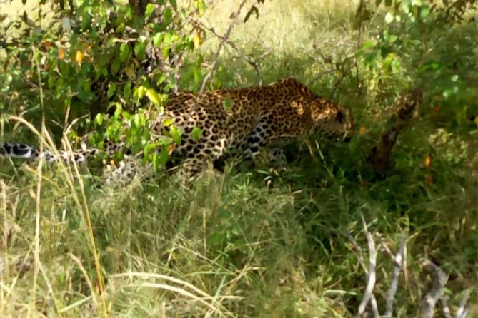 Overnight Safari To Maasai Mara - From Nairobi to the Great Rift Valley route, and why that matters