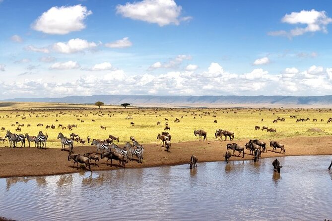 Overnight Safari To Maasai Mara - Price and value: what $230 really buys you, plus park fees
