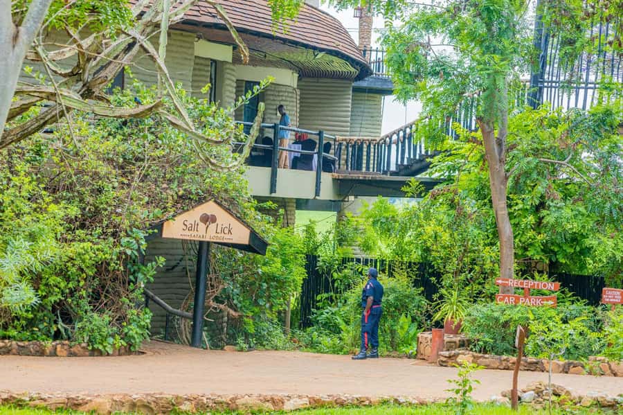Overnight Safari to Saltlick through Tsavo East Park - Price and Value: $613 Plus a Possible Tsavo East Entrance Fee
