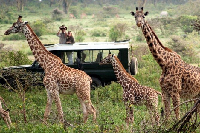 Overnight Safari to Tsavo East National Park from Mombasa/Diani - Tsavo East Safari from Mombasa, what this trip is really like