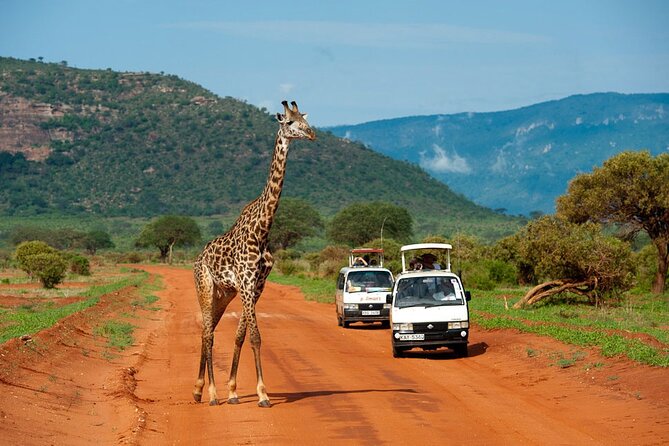 Overnight Safari to Tsavo East National Park from Mombasa/Diani - Getting there: pickup, highways, and the pop-up roof vehicle