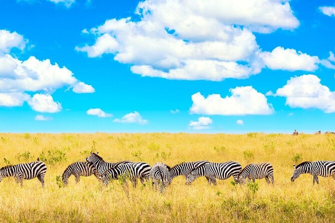 Overnight Tour in Amboseli National Park from Nairobi - Day 1: the long drive, then an afternoon game drive