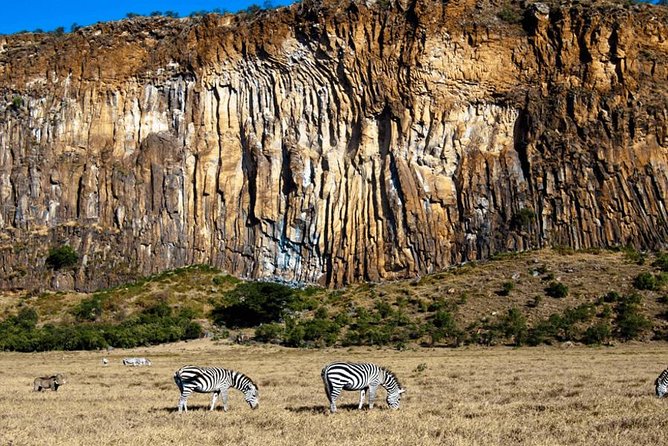 Overnight tour to mount Longonot and Hells Gate Naivasha - Mt Longonot National Park: The Crater Hike That Defines the Trip