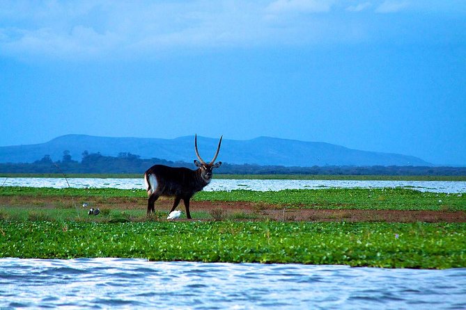 Overnight tour to mount Longonot and Hells Gate Naivasha - Great Rift Valley View Point: A Free Photo Stop With Real Context