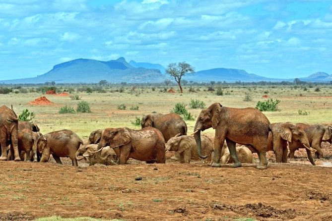 Private 3 Day Tsavo East Safari from Mombasa - Day 1 Through Bachuma Gate, VOI Wildlife Lodge, and a Sunset Drive